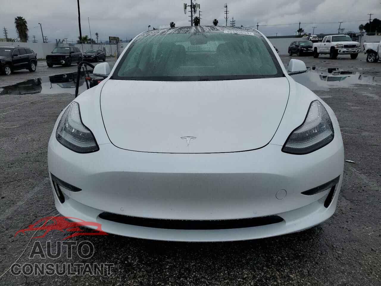 TESLA MODEL 3 2019 - 5YJ3E1EA7KF446611
