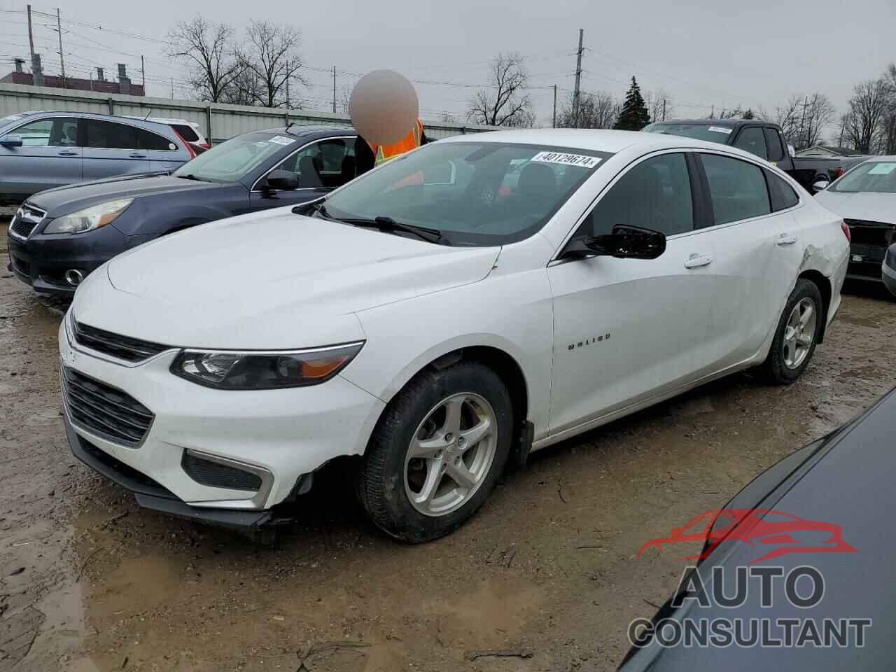 CHEVROLET MALIBU 2018 - 1G1ZB5ST9JF271619