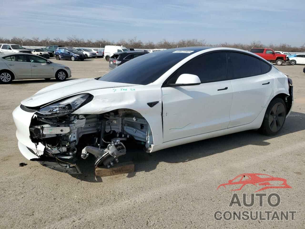 TESLA MODEL 3 2021 - 5YJ3E1EA5MF982931