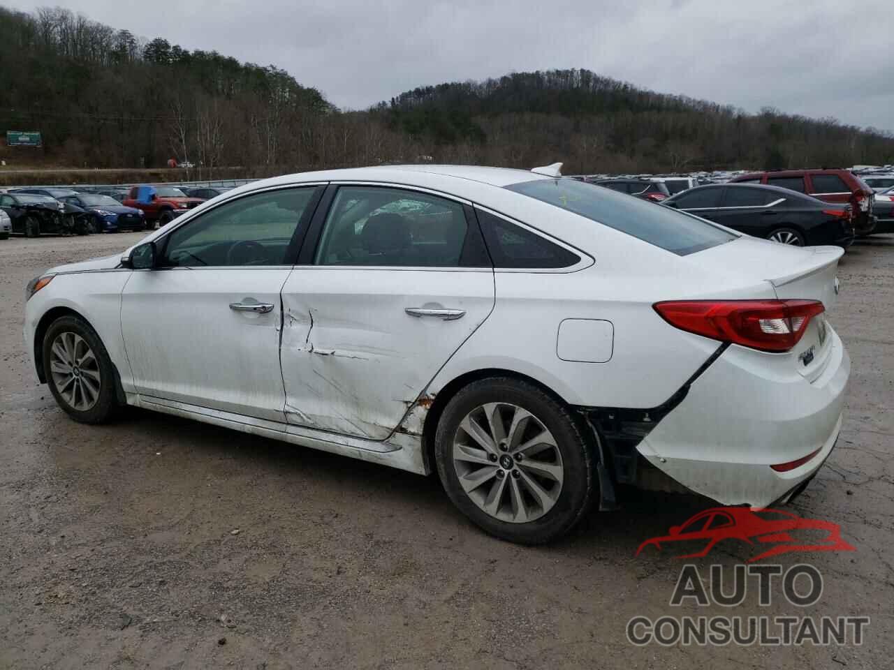 HYUNDAI SONATA 2017 - 5NPE34AF8HH556966