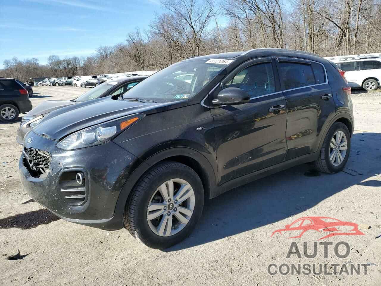 KIA SPORTAGE 2017 - KNDPMCAC8H7036812