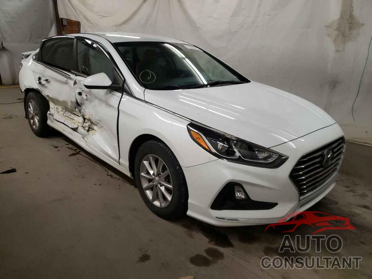 HYUNDAI SONATA 2019 - 5NPE24AFXKH761313