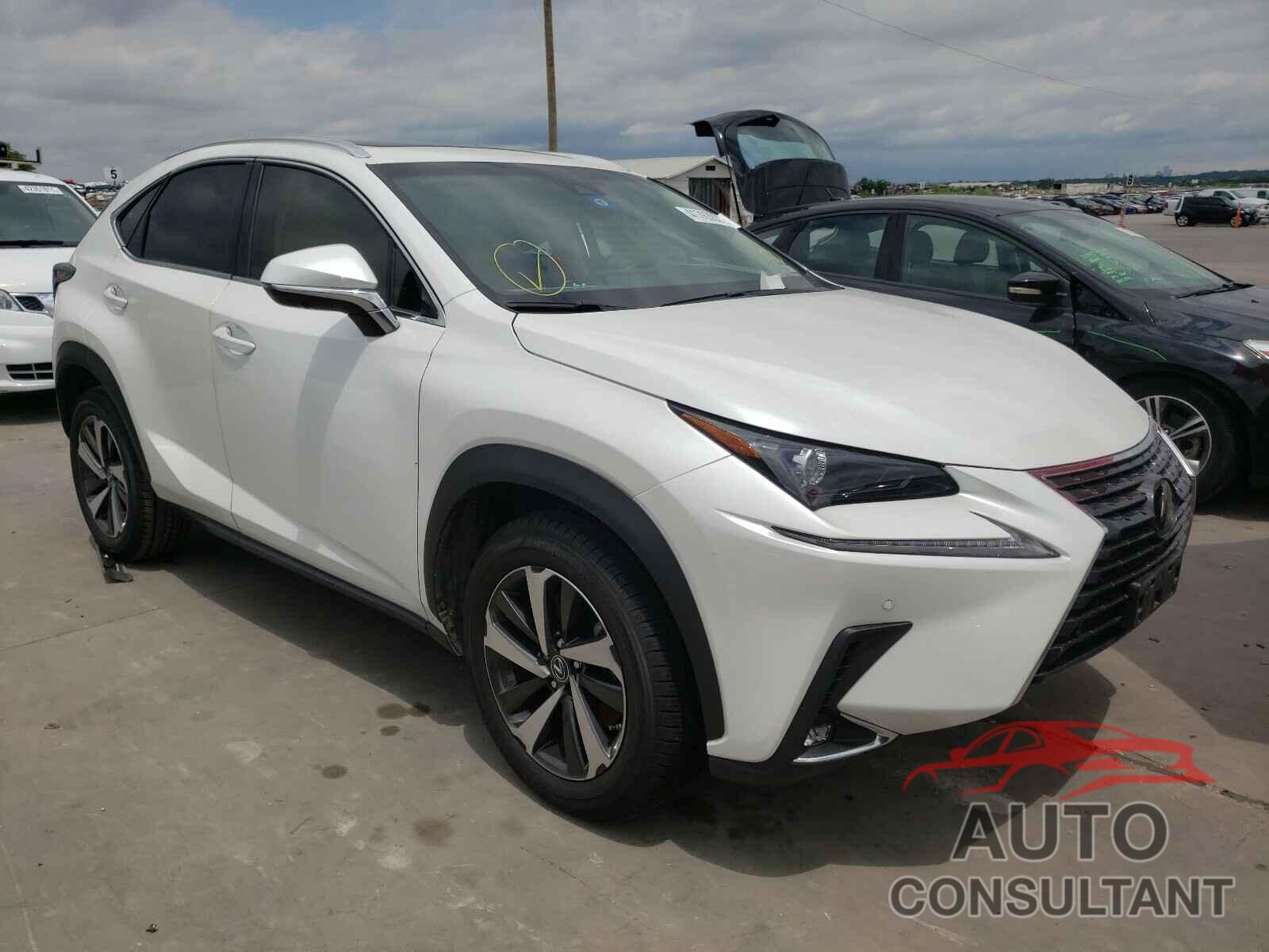 LEXUS NX 2019 - JTJYARBZ4K2157311