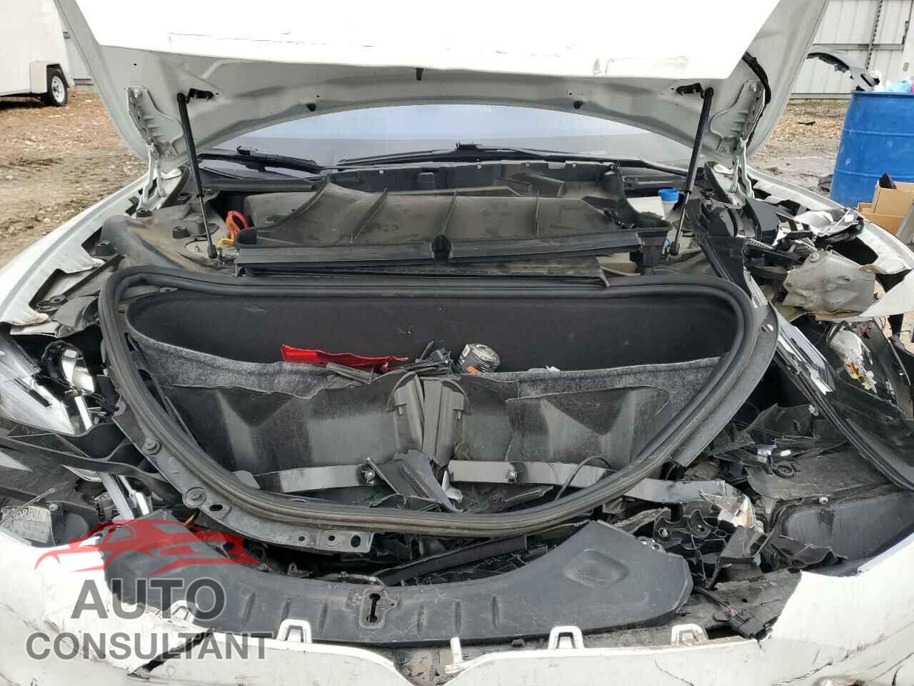 TESLA MODEL S 2019 - 5YJSA1E25KF339766