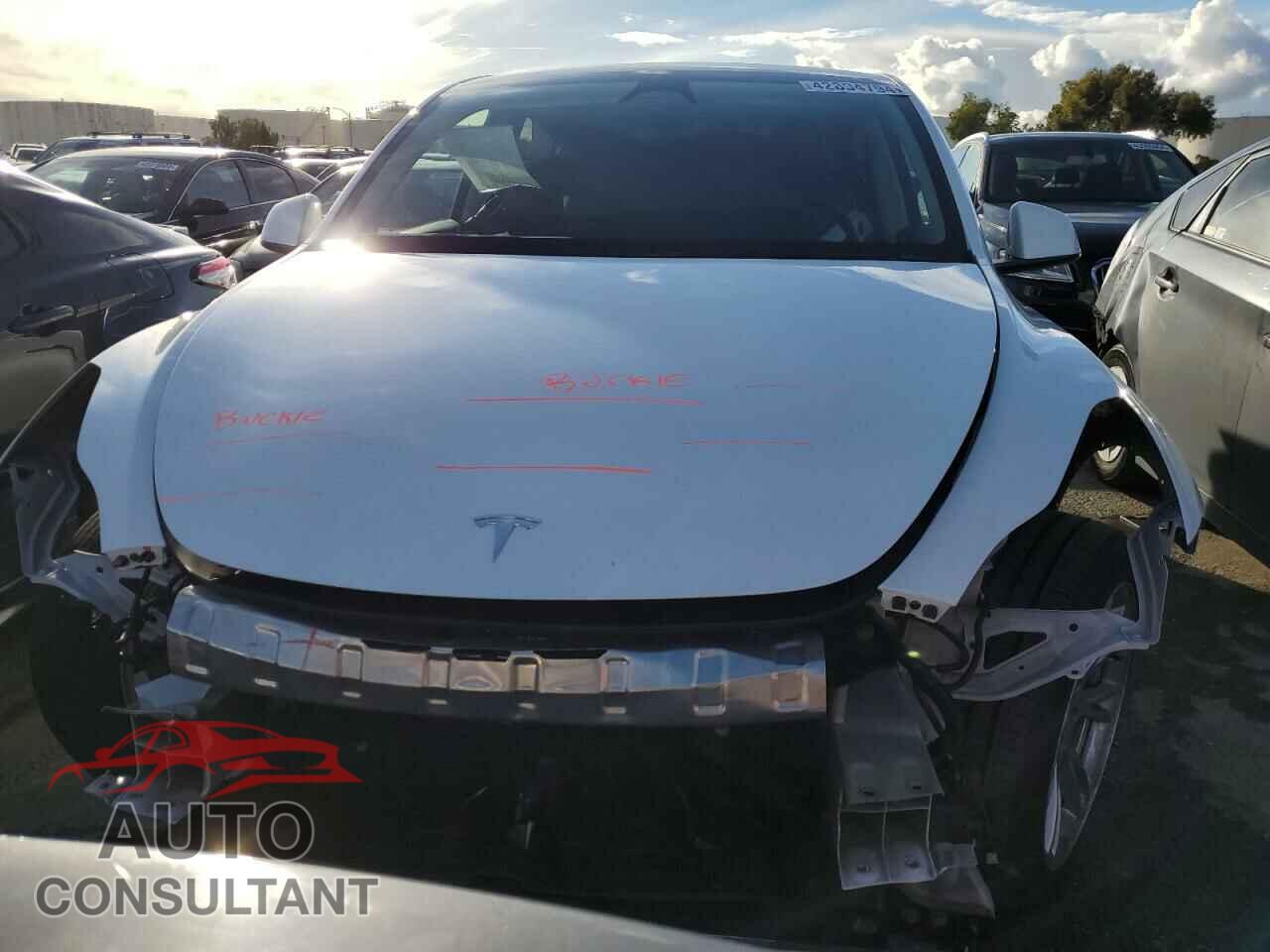 TESLA MODEL Y 2023 - 7SAYGDEDXPF958143