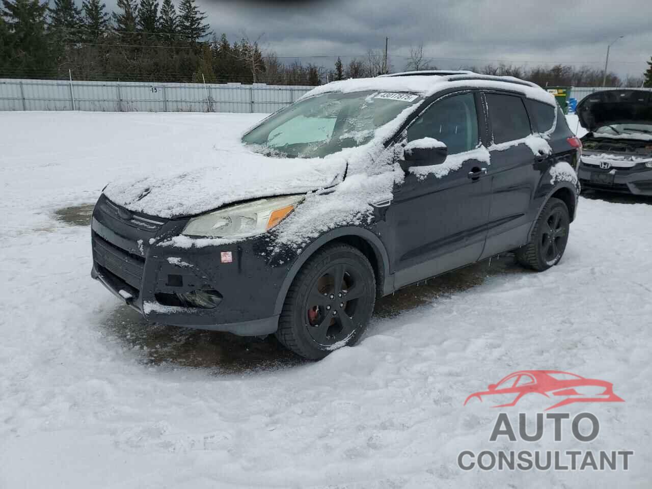 FORD ESCAPE 2013 - 1FMCU9G99DUB19069