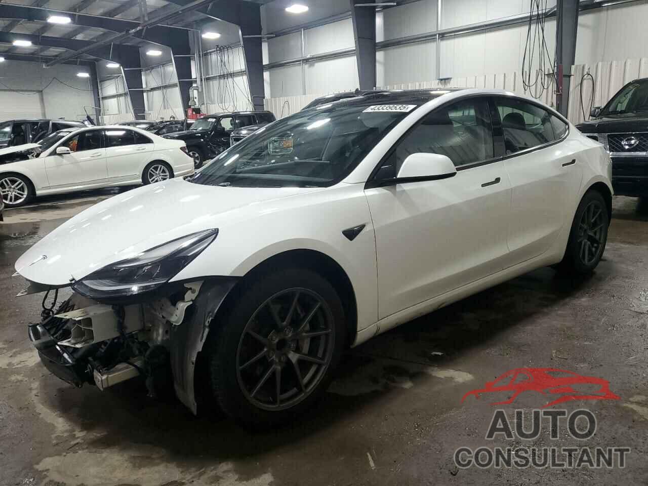 TESLA MODEL 3 2021 - 5YJ3E1EA9MF982544