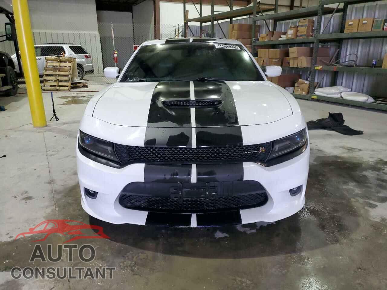 DODGE CHARGER 2017 - 2C3CDXGJ1HH525847