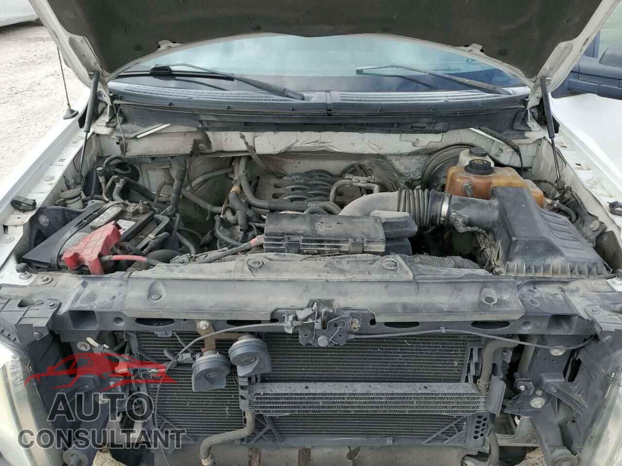 FORD F-150 2011 - 1FTFX1CF3BFB77041