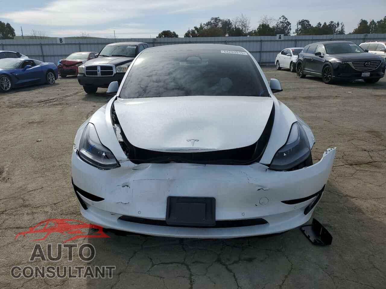 TESLA MODEL 3 2022 - 5YJ3E1EB7NF183307