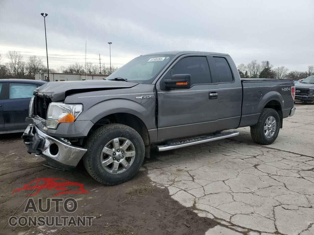 FORD F-150 2013 - 1FTFX1EF8DFA89442
