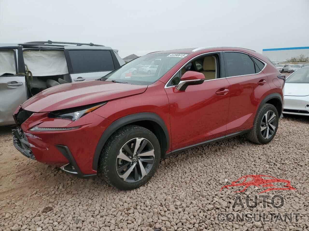 LEXUS NX 2019 - JTJYARBZ0K2126671