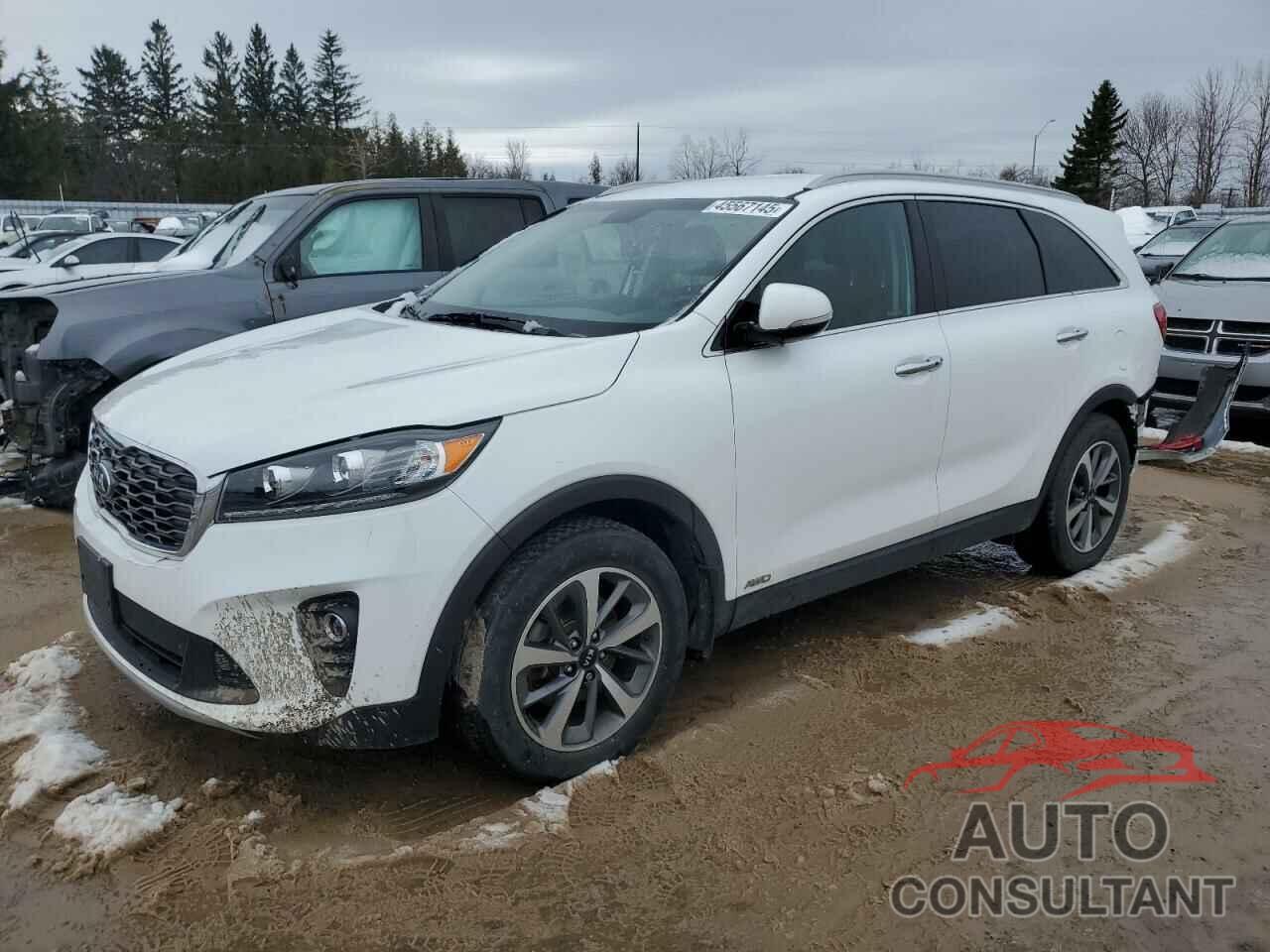 KIA SORENTO 2019 - 5XYPHDA58KG588090