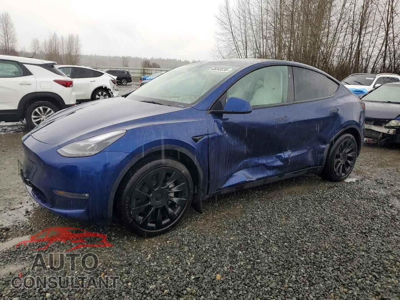 TESLA MODEL Y 2024 - 7SAYGAEE1RF081083