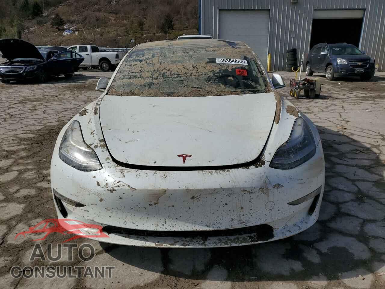 TESLA MODEL 3 2019 - 5YJ3E1EA3KF509087