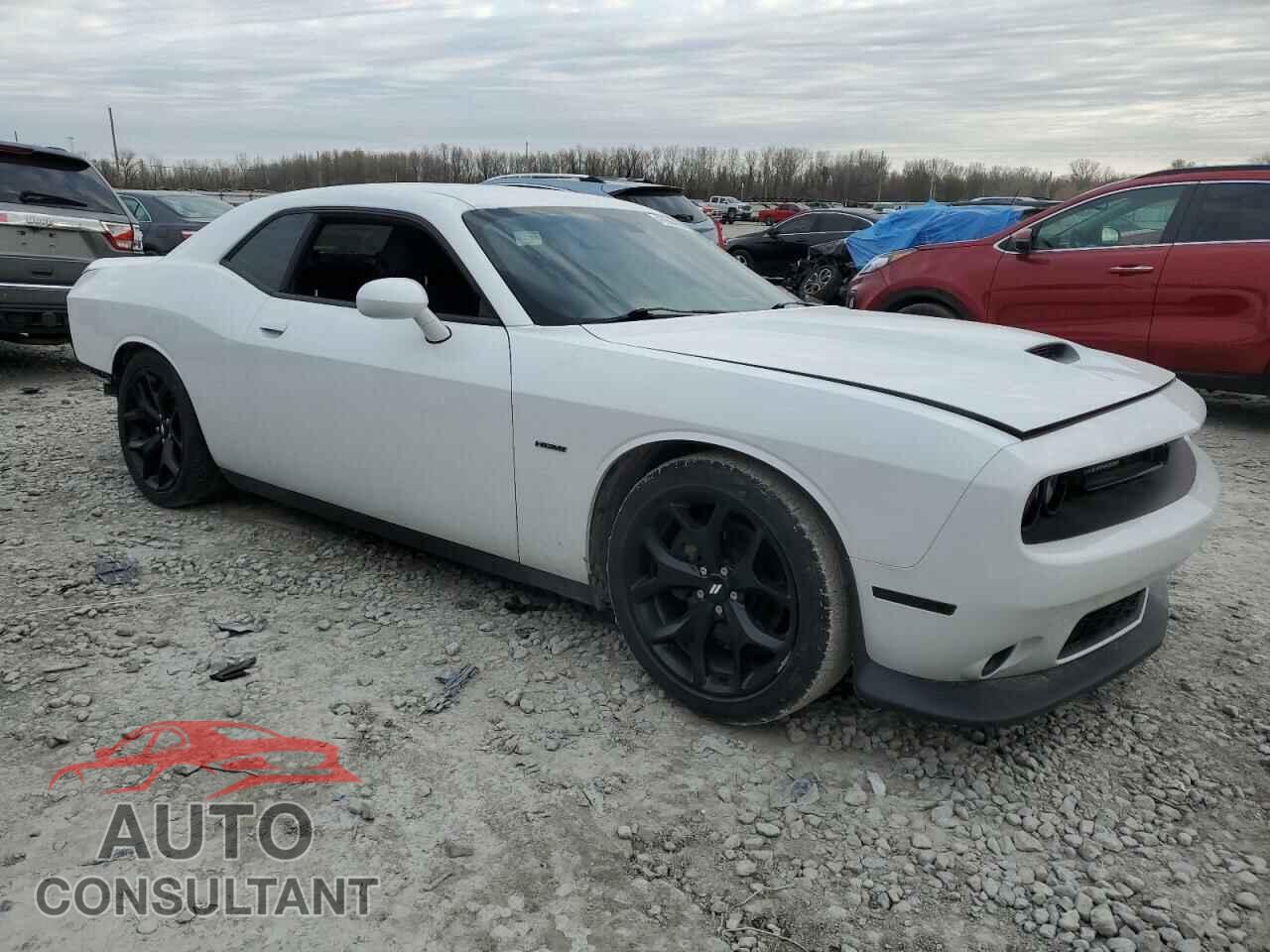 DODGE CHALLENGER 2019 - 2C3CDZBT9KH652017