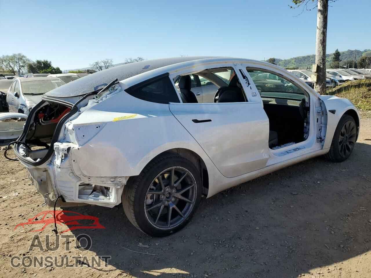TESLA MODEL 3 2023 - 5YJ3E1EA1PF555539