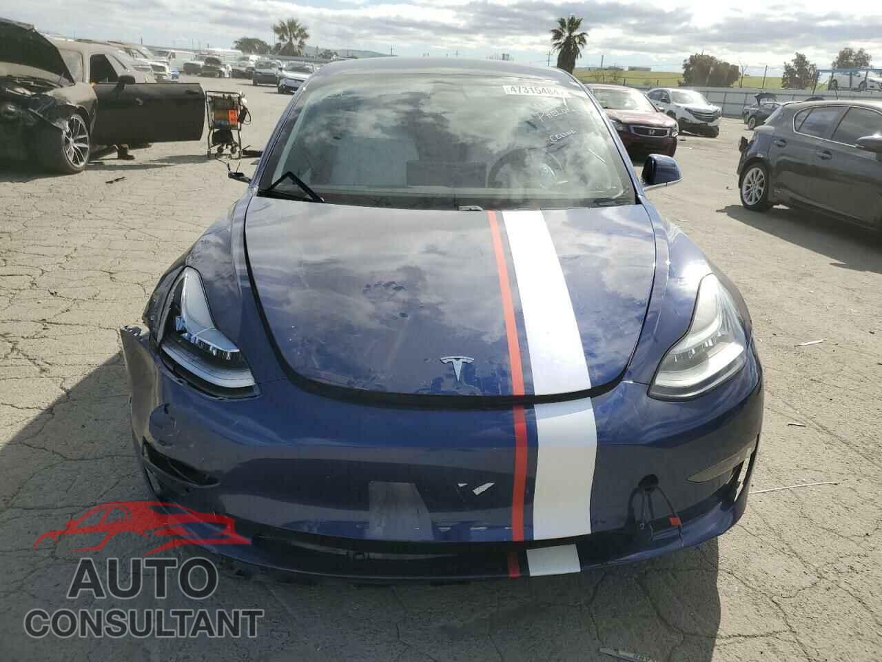 TESLA MODEL 3 2019 - 5YJ3E1EB3KF393592