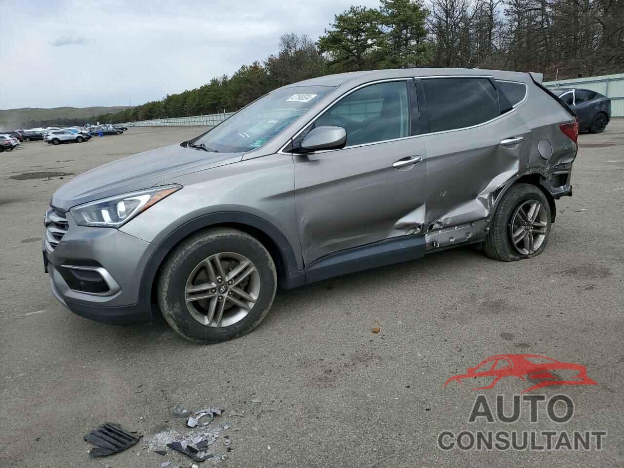 HYUNDAI SANTA FE 2017 - 5NMZTDLB6HH000552