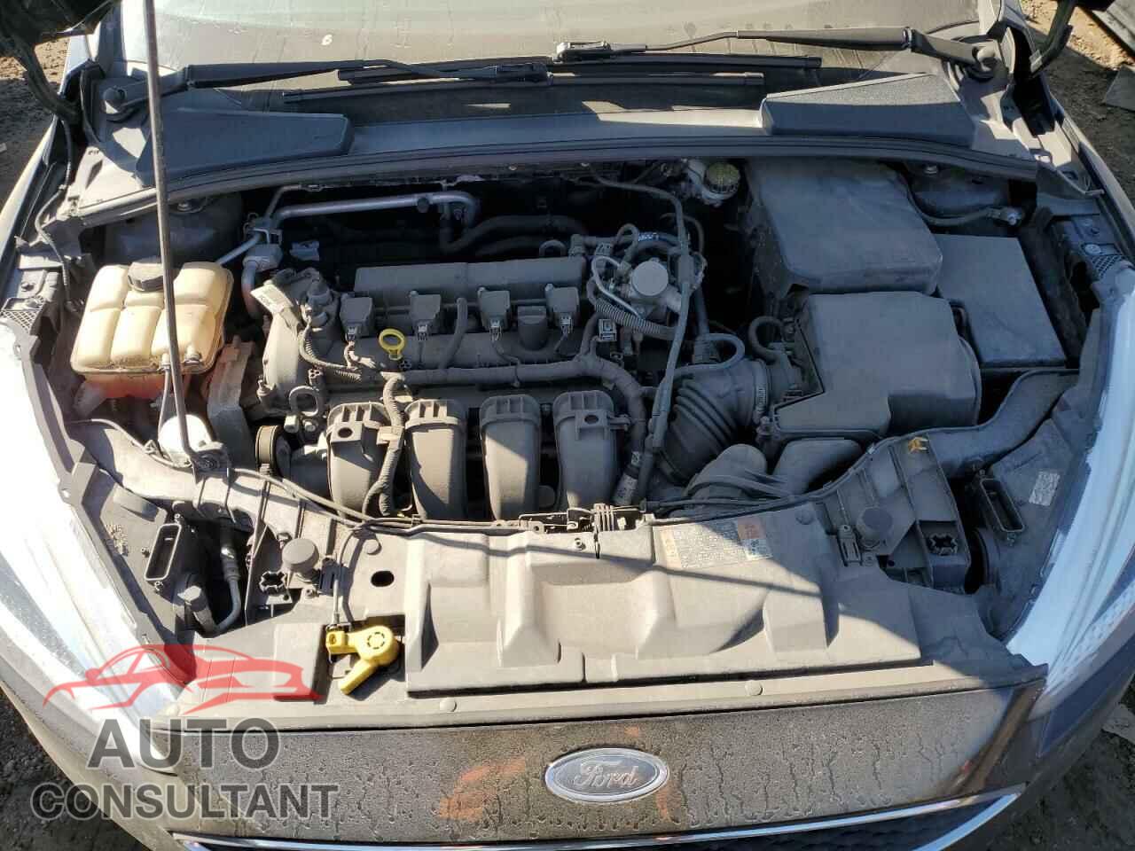 FORD FOCUS 2016 - 1FADP3F23GL386290
