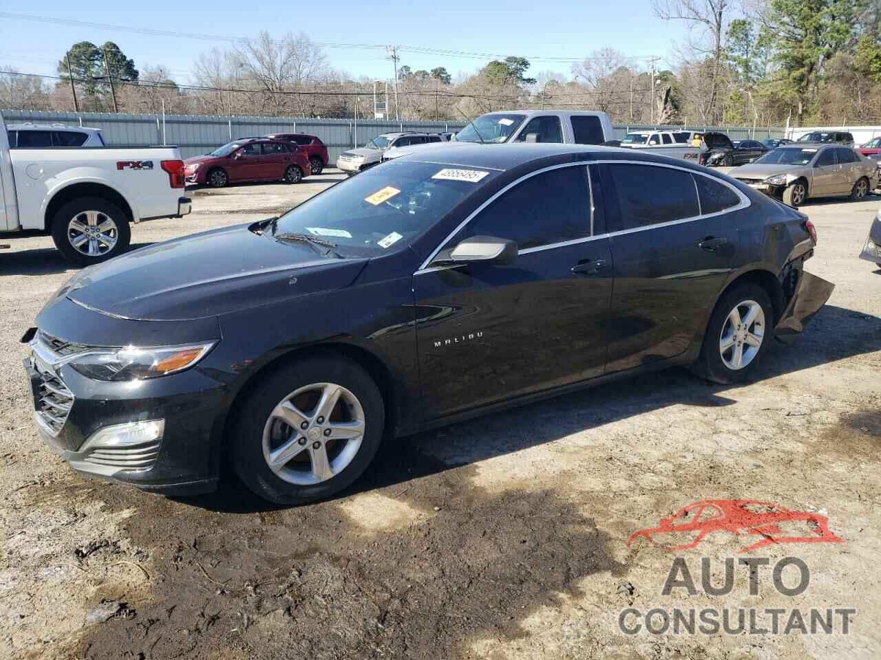 CHEVROLET MALIBU 2019 - 1G1ZB5ST1KF207110