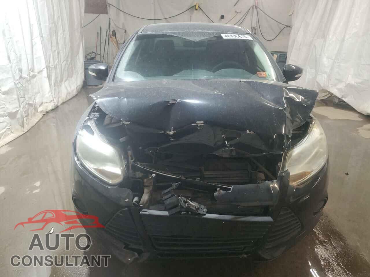 FORD FOCUS 2013 - 1FADP3F2XDL208159