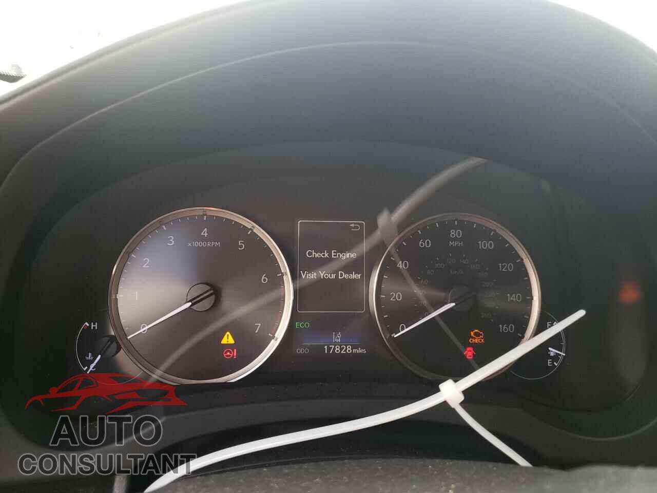 LEXUS IS 2019 - JTHBA1D29K5088543
