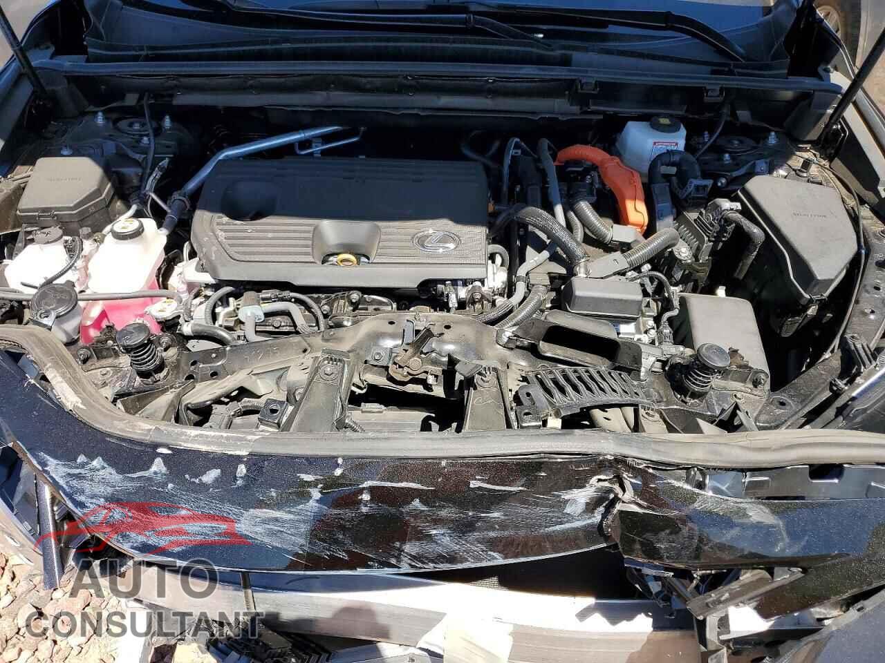 LEXUS NX 2025 - 2T2GKCEZ1SC032185