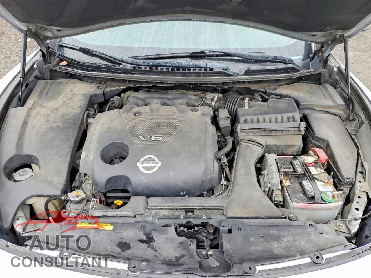 NISSAN MAXIMA 2011 - 1N4AA5AP1BC856120