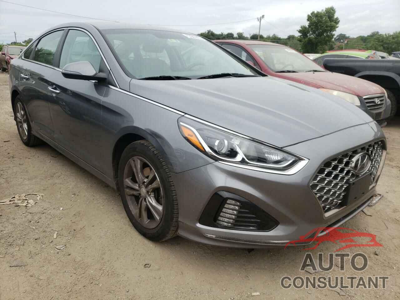 HYUNDAI SONATA 2019 - 5NPE34AF3KH776104