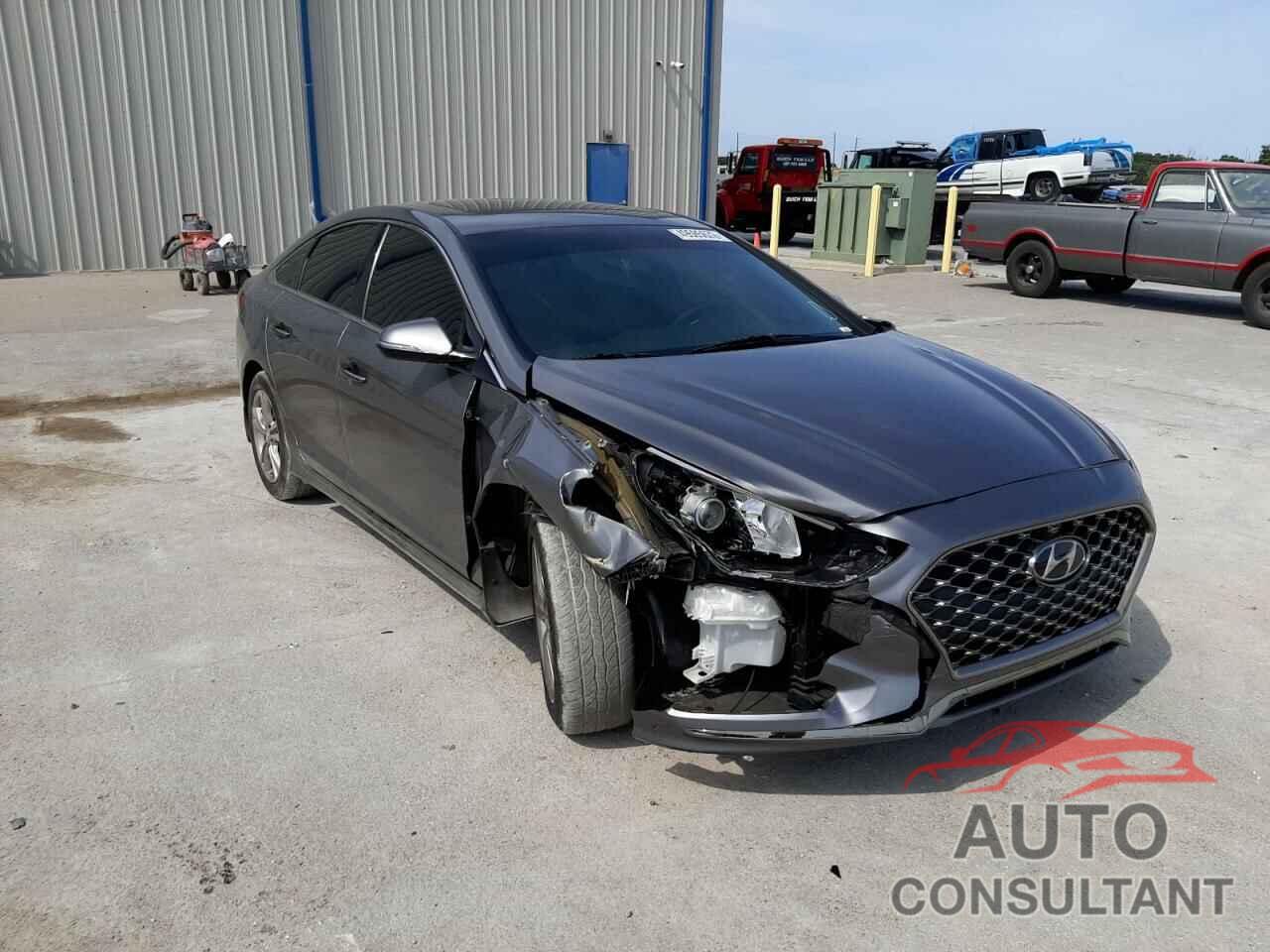 HYUNDAI SONATA 2019 - 5NPE34AFXKH782322