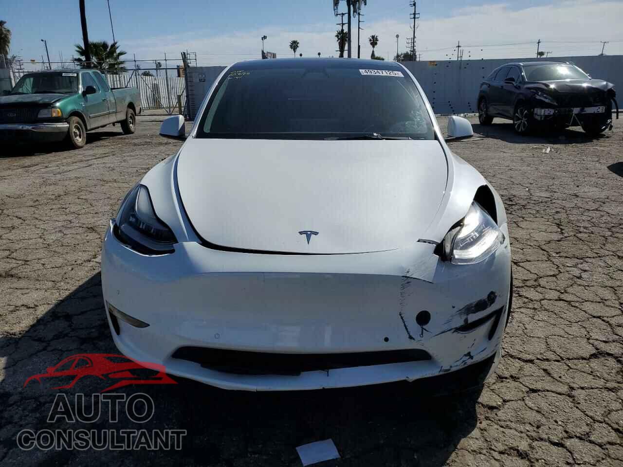 TESLA MODEL Y 2021 - 5YJYGDEEXMF146617