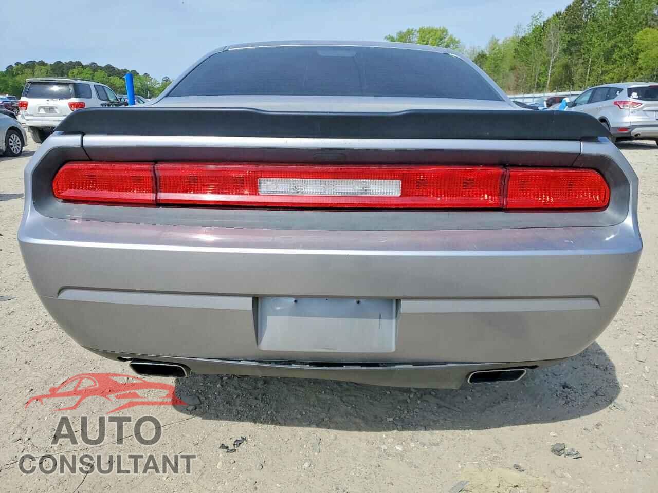 DODGE CHALLENGER 2014 - 2C3CDYAG7EH289543