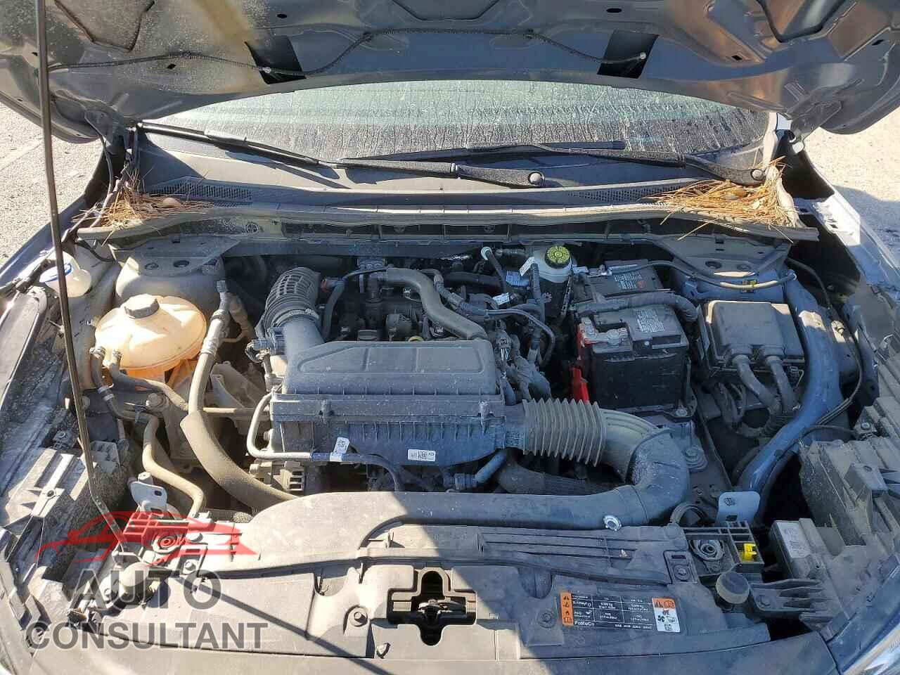 FORD ESCAPE 2024 - 1FMCU0GN9RUA56006