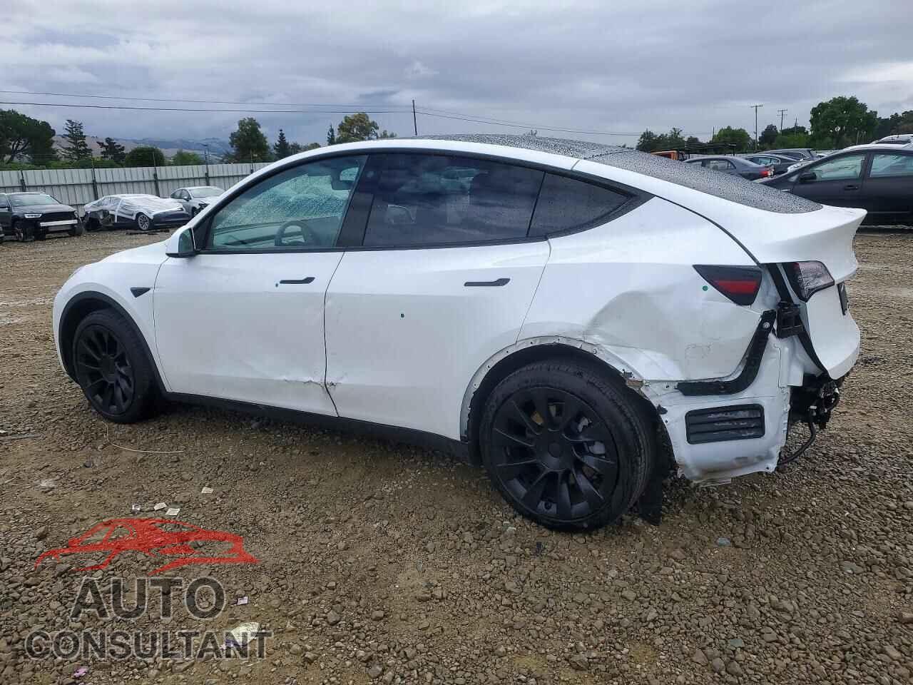 TESLA MODEL Y 2021 - 5YJYGDEEXMF153552