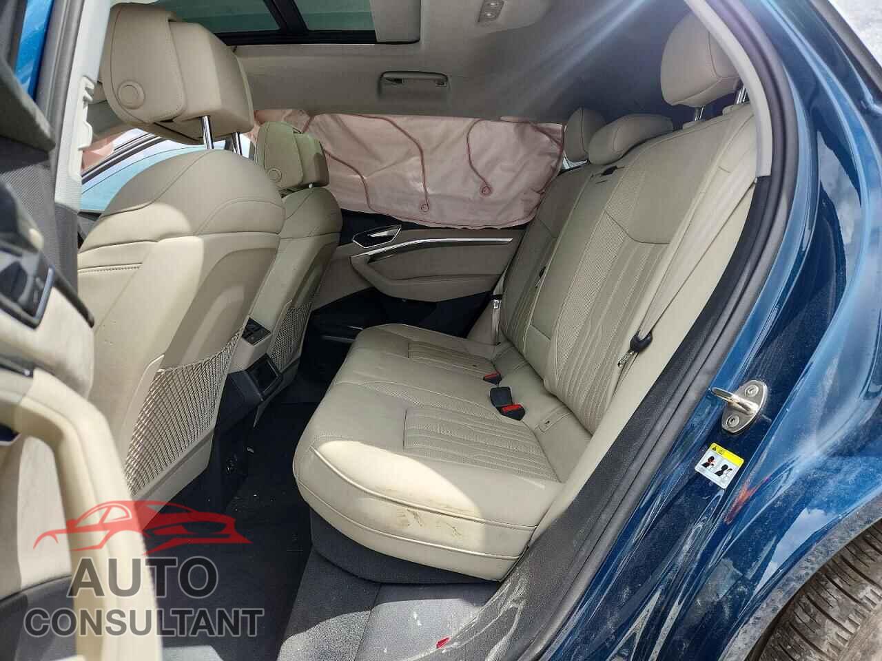 AUDI E-TRON 2019 - WA1VAAGE0KB021815