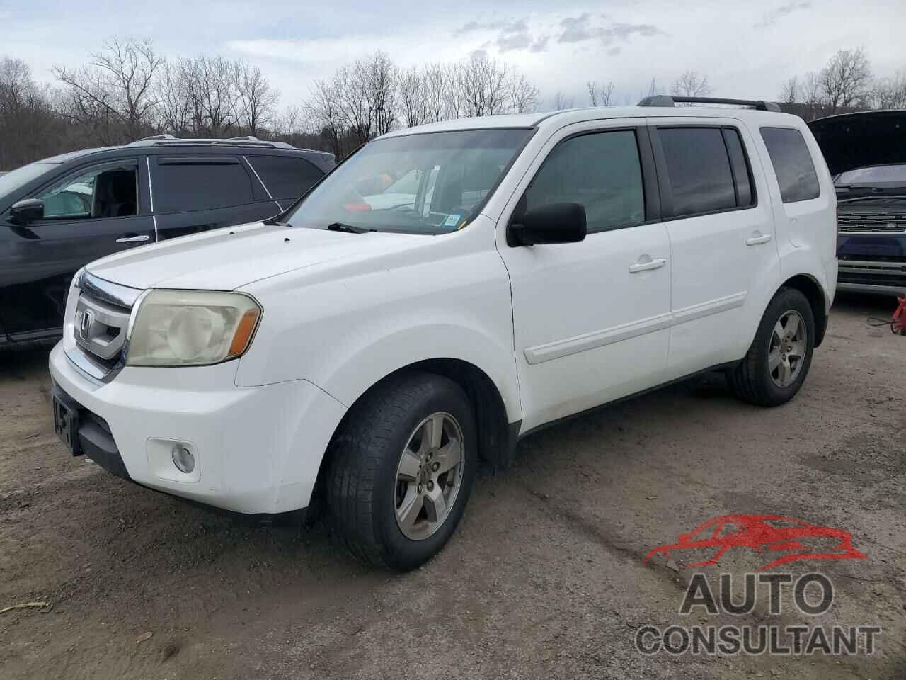 HONDA PILOT 2009 - 5FNYF48509B049898