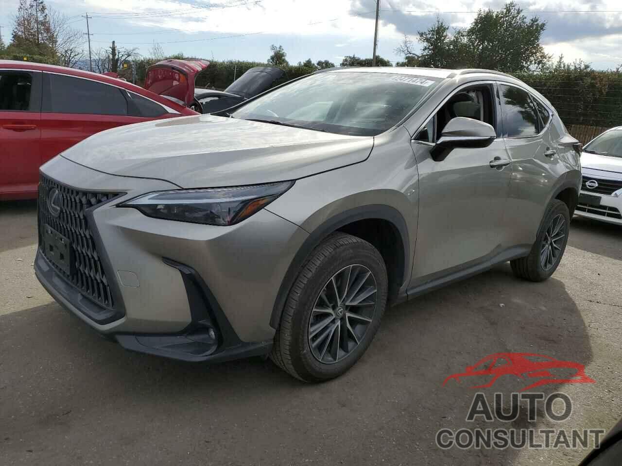 LEXUS NX 350 2022 - 2T2AGCEZ3NC010894