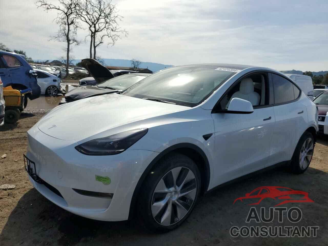 TESLA MODEL Y 2023 - 7SAYGDEE5PF623946