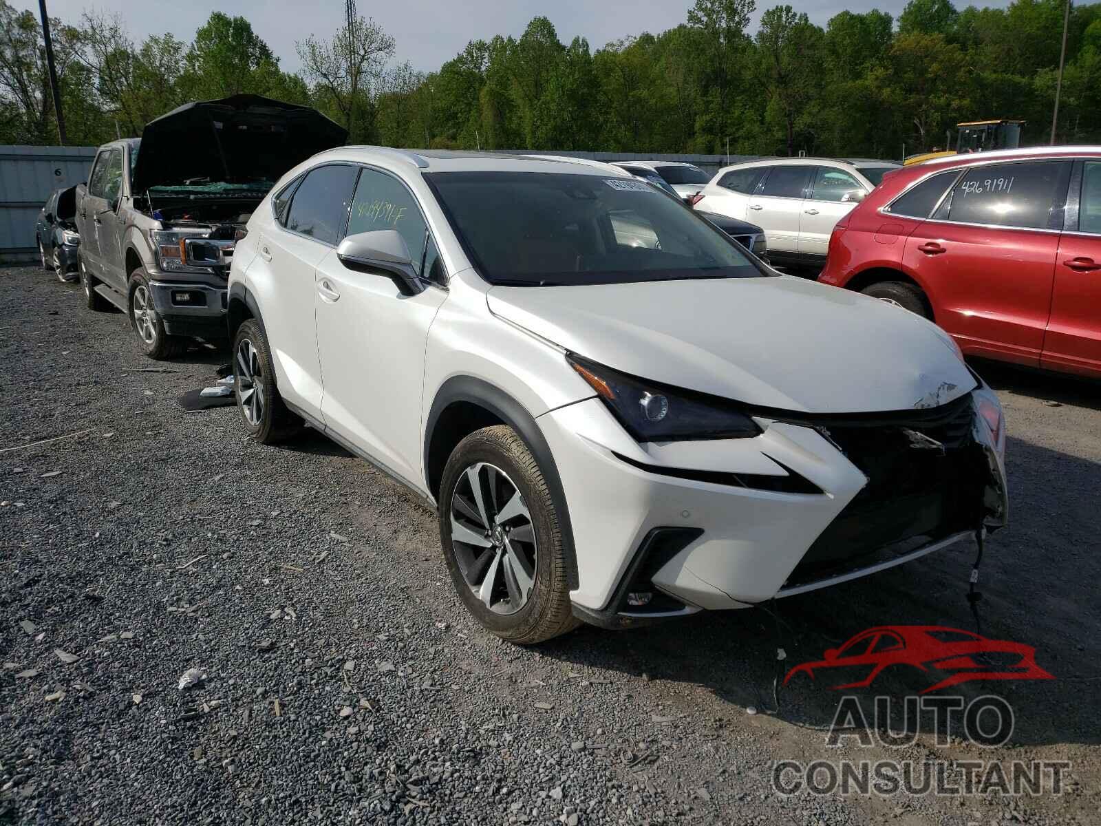 LEXUS NX 2019 - JTJBARBZ5K2208319