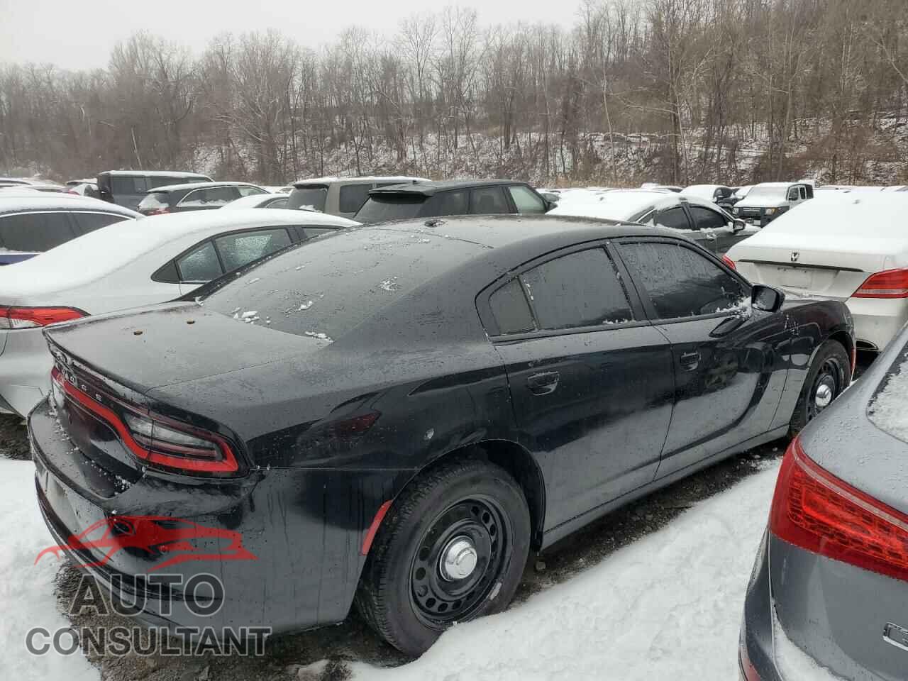 DODGE CHARGER 2021 - 2C3CDXKGXMH526064