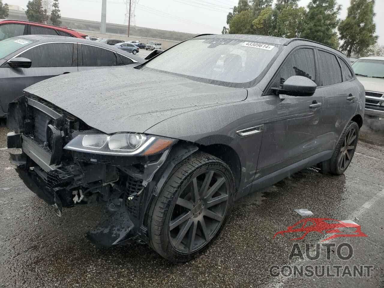 JAGUAR F-PACE 2017 - SADCJ2BV6HA099190