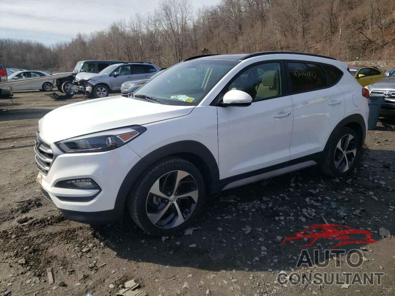 HYUNDAI TUCSON 2017 - KM8J3CA21HU567802