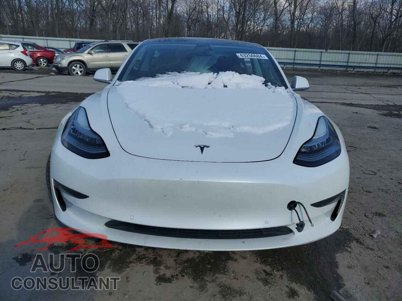 TESLA MODEL 3 2020 - 5YJ3E1EC2LF624265