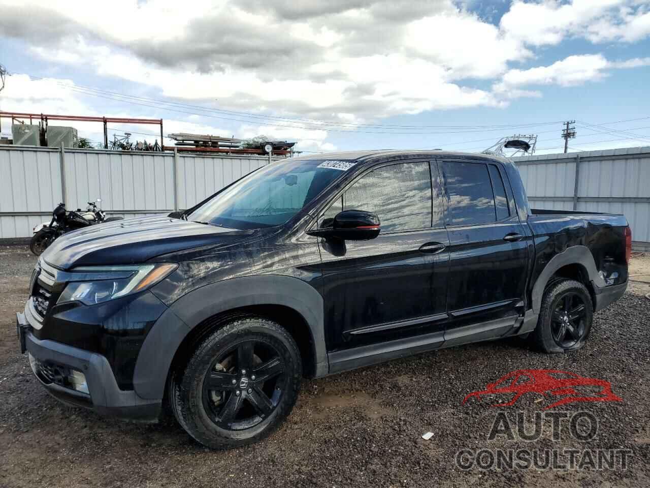 HONDA RIDGELINE 2019 - 5FPYK3F8XKB012891