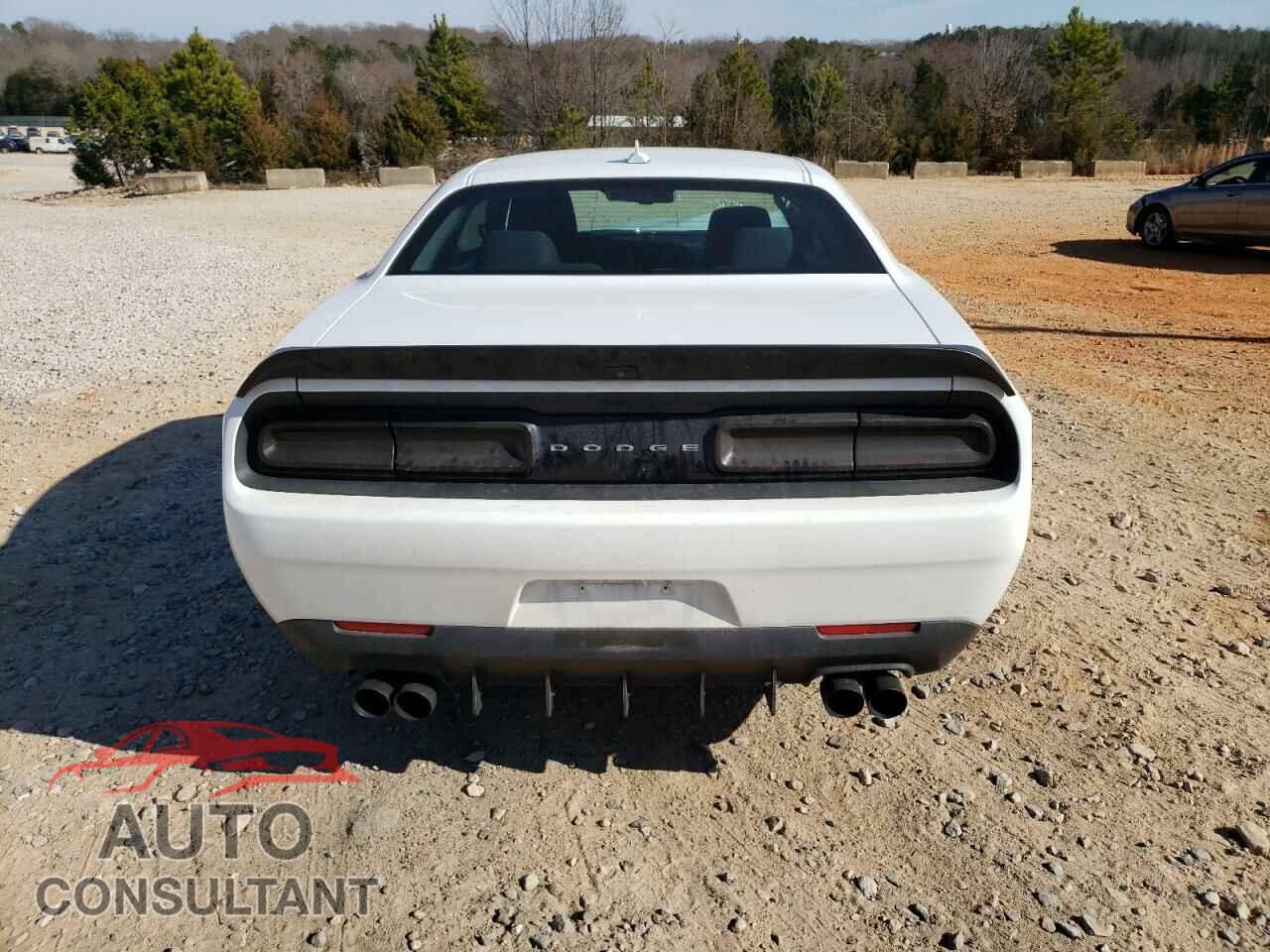DODGE CHALLENGER 2019 - 2C3CDZAGXKH551282