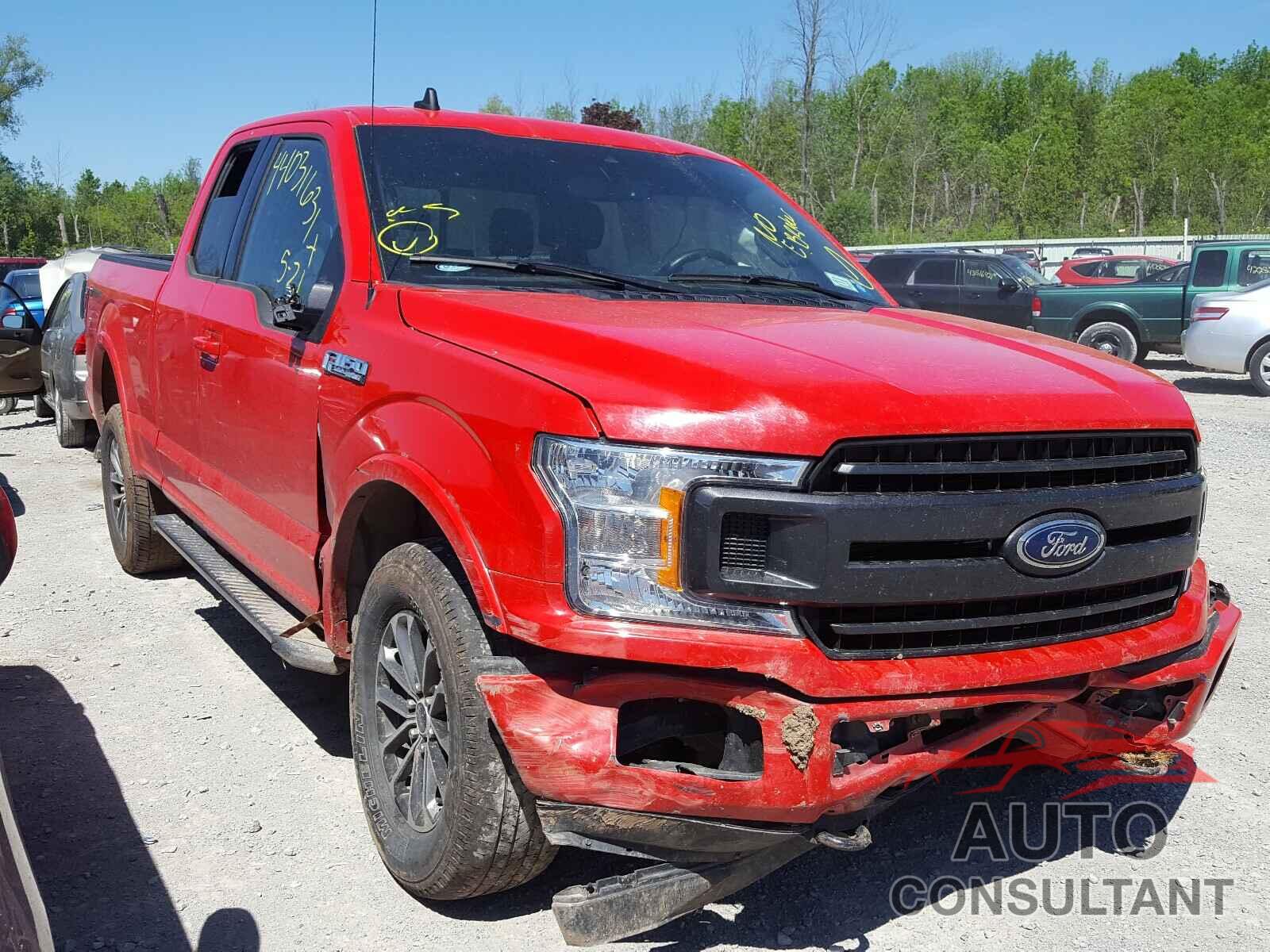 FORD F-150 2019 - 1FTFX1E51KKE55608