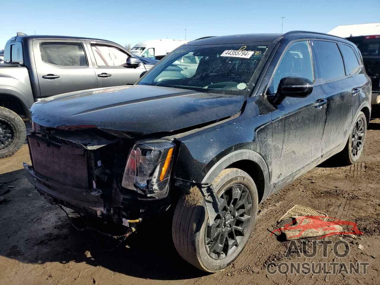 KIA TELLURIDE 2022 - 5XYP5DHC4NG314189