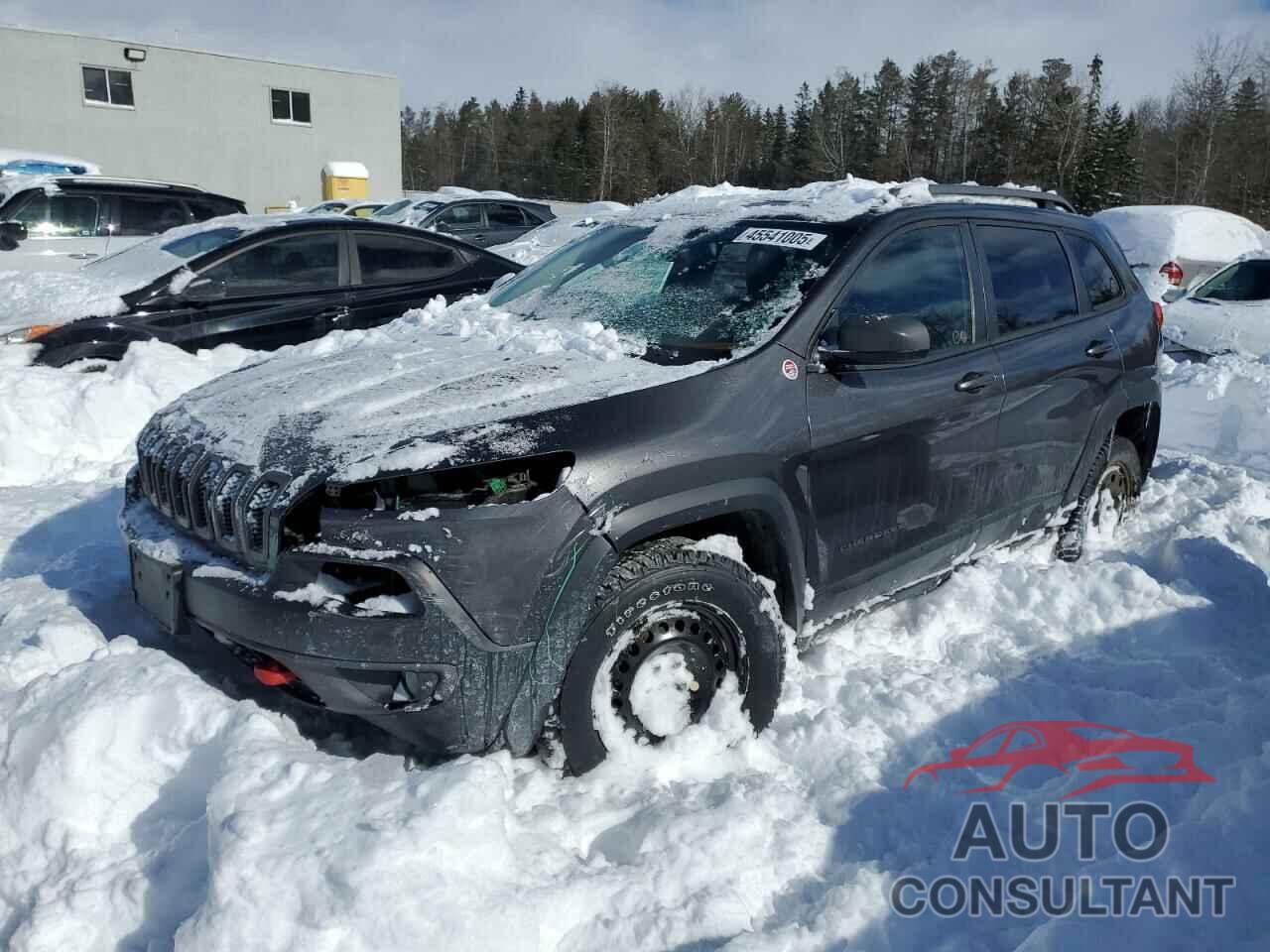 JEEP CHEROKEE 2016 - 1C4PJMBS2GW216151