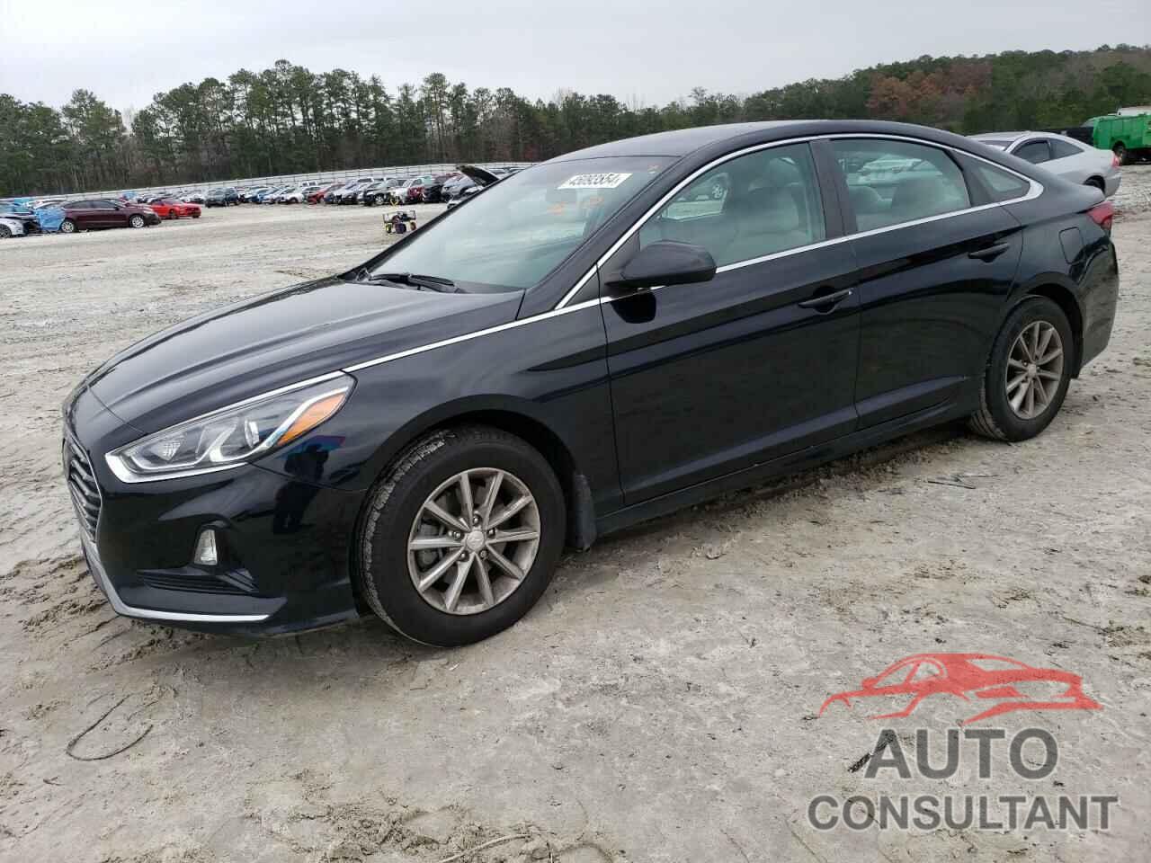 HYUNDAI SONATA 2019 - 5NPE24AF7KH741665